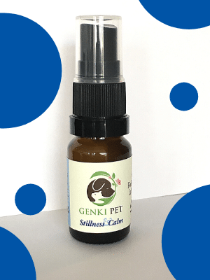 Stillness & Calm 12ml Genki Pet For deep relaxation; relieving anxiety and hyperactivity
