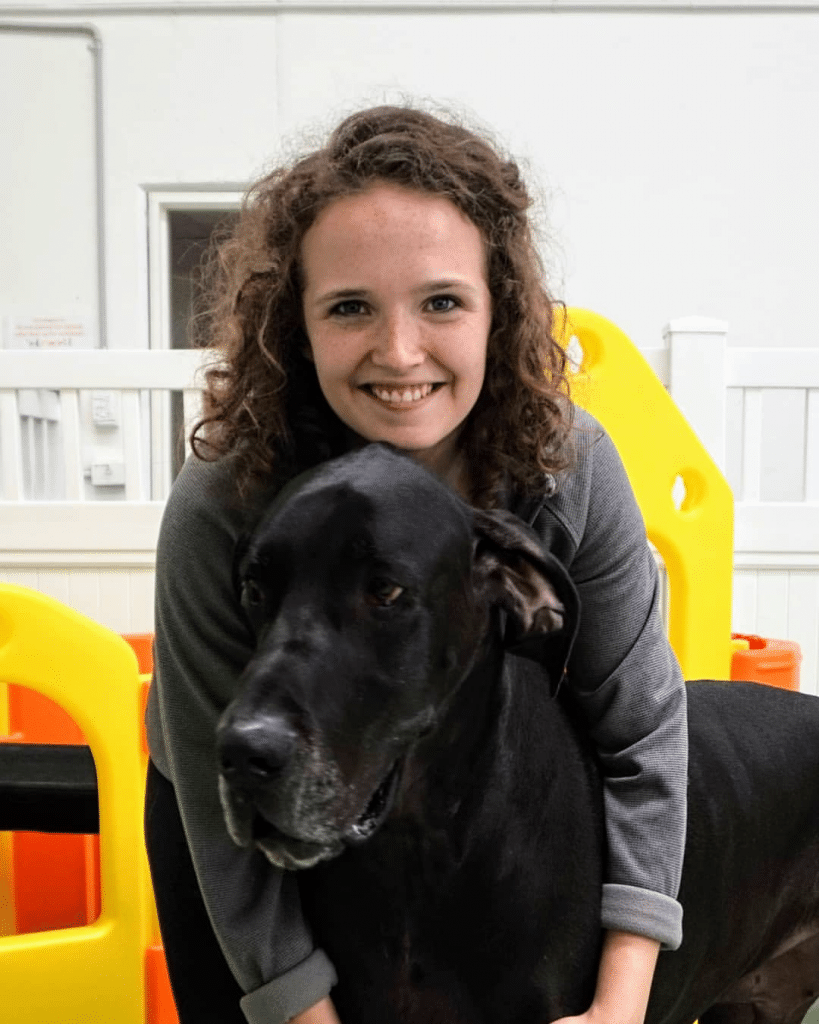 canine bowen therapy course