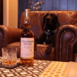 For healthier happier pets and their people black dog on couch dog friendly whisky bar relaxing