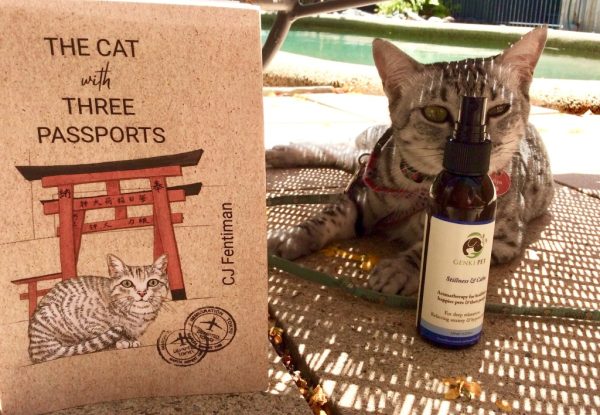 Cat with three passports book with cat smelling Stillness and Calm by Genki Pet pet self care bundle