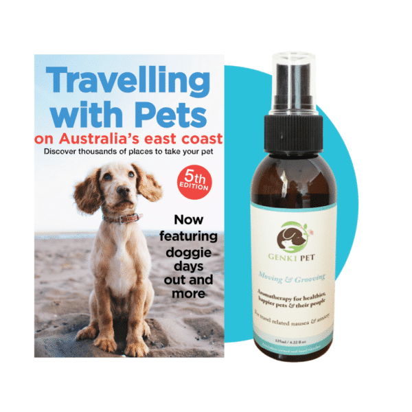 Pet Friendly Travel Bundle